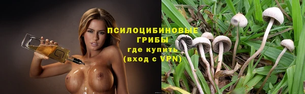 кристаллы Инта