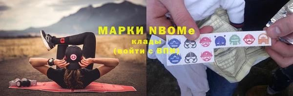 МДПВ Инсар
