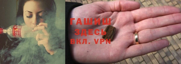 МДПВ Инсар
