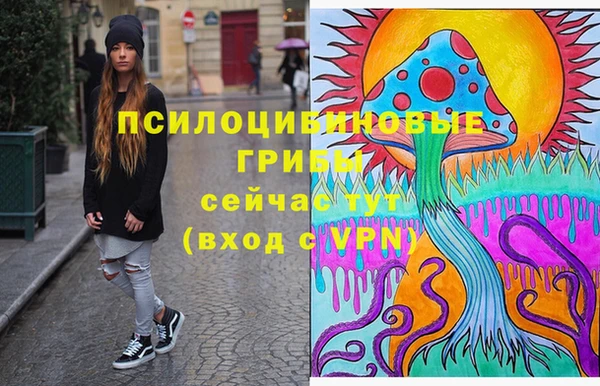 МДПВ Инсар