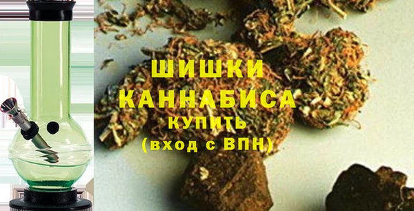 МДПВ Инсар