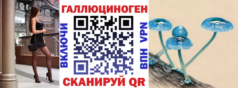 Купить где  Дудинка  Псилоцибиновые грибы мицелий 